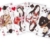 Japan Heritage Playing Cards Set of 2 Decks Piatnik by Piatnik - 