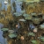 Piatnik 1000 Piece Puzzle – „Water Lilies“ by Monet - 